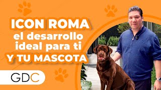 ¡Descubre la Pet Zone de Icon Roma 🐾 El espacio ideal para convivir con tu mascota [upl. by Nuris]