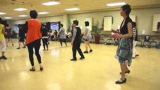 Loch Lomond Line Dance Barbara Hile  Scalewings NZ 2013 Xmas Party [upl. by Eramal]