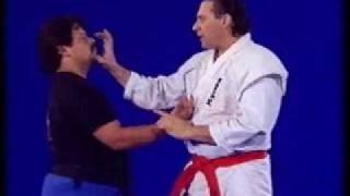 Hanshi Frank Dux demonstrates Dragon Technique [upl. by Ettesil]