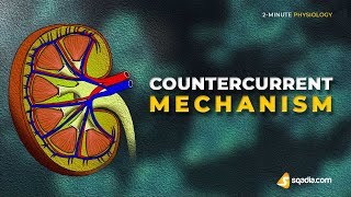 Countercurrent Mechanism  2Minute Physiology Video  Medical Education  VLearning [upl. by Irihs]