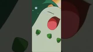 Ashs Chikorita Evolves into Bayleef [upl. by Sixela]