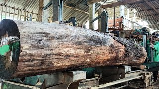 Amazing sawmill action  pine wood 2 [upl. by Clary52]