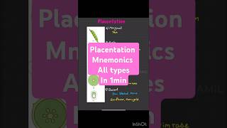 Biology mnemonics placentation neet25 neet2025 neetbiology tricks neet neetpreparation [upl. by Buffy]