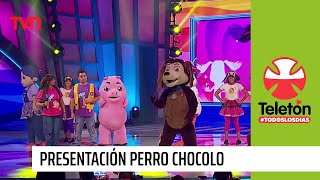 Los niños de Chile bailan con el Perro Chocolo  Teletón 2022 [upl. by Yelyak810]