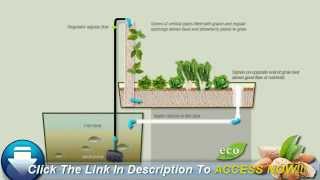 Aquaponics for Beginners [upl. by Janis]