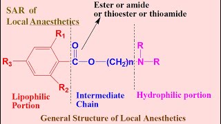 Medicinal Chemistry Local Anesthetics PartIV Synthesis and SAR [upl. by Aij454]