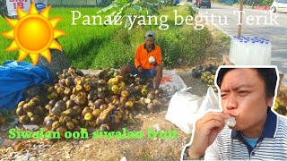 SIWALAN OH SIWALAN  Siwalan Fruit  indonesian street food [upl. by Aicilanna849]