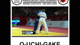 Judo  Ouchigake [upl. by Eibor]