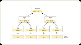 Hash pointers and Merkle tree [upl. by Ellemrac]