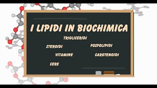 Le biomolecole i lipidi trigliceridifosfolipidisteroidivitamine [upl. by Lowery951]