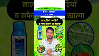 👌मकड़ियों व सफेद मक्खी की दवा  Bayer Oberon Insecticide insecticide pestcontrol shorts bayer [upl. by Christa]