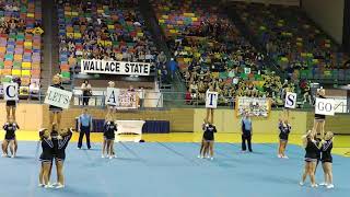 tchs  tuscaloosa county cheer 7a  ahsaa cheer championship 2018 [upl. by Madea]