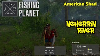 American Shad Neherrin River  Fishing Planet [upl. by Whitney26]