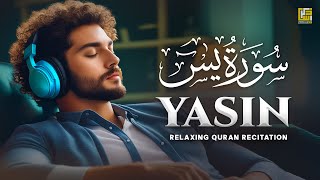 Surah Yasin Yaseen سورة يس  Relaxing calming Heart touching soft voice  Zikrullah TV [upl. by Atirahc]