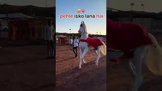 Dream trending love abhishekpatel lokeshpatel patel trendingreels thakurst horselover [upl. by Gilchrist405]