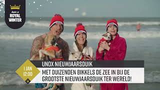 Haagse Highlights  Unox Nieuwjaarsduik 2024 [upl. by Acireed]