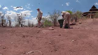 Vultures VR Wildlife Safari trip  Photos of Africa livestreamnature PhotosofAfrica 360ImageFilm [upl. by Ayaros]