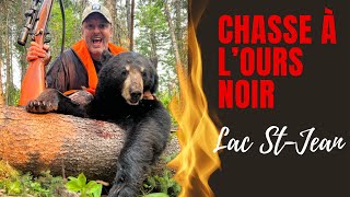 Chasse à l’ours noir 2023 Bear hunting [upl. by Olgnaed]