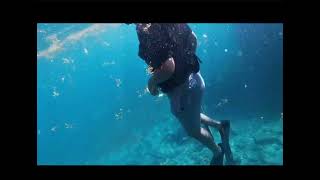 Boynton inlet spearfishing [upl. by Isoj]