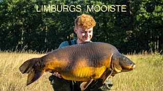 Limburgs mooiste  Max Laevaert [upl. by Hcurob]