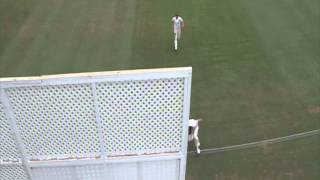 Bupa Sheffield Shield Highlights  NSW vs Western Australia Day 2 [upl. by Kamila199]