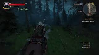 The Witcher 3 Death March Difficulty Lets Play Part 24 [upl. by Senaj]