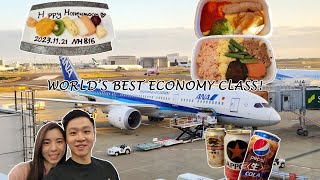 Worlds Best Economy Class  ANA All Nippon Airways [upl. by Clair]