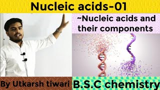 Nucleic acids and their Components  Nucleic acid  BSC Organic Chemistry [upl. by Neroled]