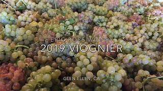 2019 Viognier Production [upl. by Dygall720]