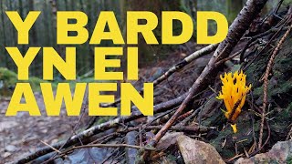 Y Bardd yn ei Awen The inspired bard [upl. by Tamaru]