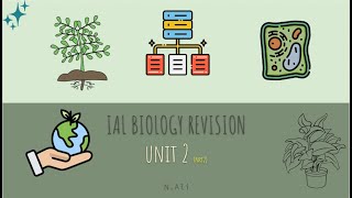 COMPLETE unit 2 IAL biology past papers and last minute revision [upl. by Ttenrag6]