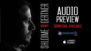 Shloime Gertner  Audio Preview  Serenity [upl. by Narad]