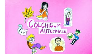 Colchicum Autumnale🍁  Part 1  From Dr N M Choudhuris Materia Medica [upl. by Engeddi]