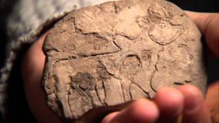 Treasures of the UCLA Library Cuneiform Tablets Part 3 of 5 [upl. by Blayne]