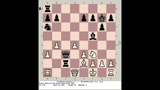 Prulentsov Andrey vs Bukavshin Ivan  Russia Chess U18 2007 Sochi [upl. by Ynttirb]