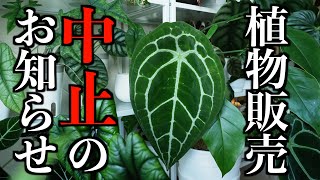 【植物イベント】万が一を考えて、中止とさせていただきます [upl. by Ryann]