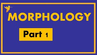 Morphology S4 English Studies Linguistics University Bachelor Degree Online [upl. by Yemorej621]