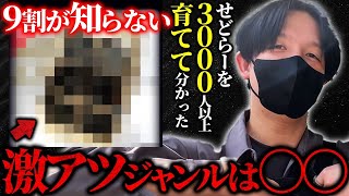 【メルカリ副業】一撃30000円利益！せどりのプロが厳選した最強穴場ジャンル5選！ [upl. by Schumer898]