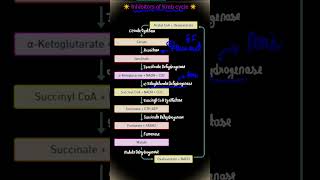 Inhibitors of kreb cycle TCA shorts neet biology doctor chemistry biochemistry mbbs next [upl. by Curtice]