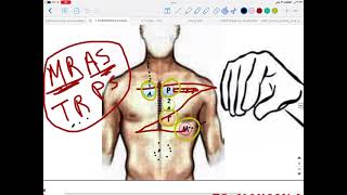 Mastering The Art of Precordial Examination  Auscultation 🩺 [upl. by Llerrac741]