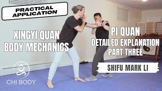 Xingyiquan Pi Quan  Detailed Explanation Part Three [upl. by Mari]