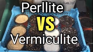 Perlite vs Vermiculite Whats the difference amp which to choose [upl. by Oinigih]