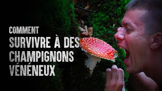 Comment survivre à des champignons vénéneux [upl. by Nnaoj51]