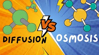 Biology Help Diffusion and Osmosis explained in 5 minutes [upl. by Gilletta]