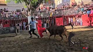 tarde muy divertida en Caudiel de la ganadería los mohicanos 13 septiembre 2024 [upl. by Yenffit361]