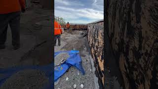 Flat Roof Demolition Gravel Roof Roof Removal roofsolution motivation inspiration bestroofing [upl. by Melvena]