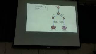 5 Clase teórica de Inmunología [upl. by Eceryt]