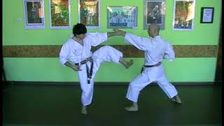 Tekki Shodan kata effective bunkai 1 [upl. by Codi]