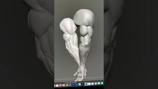 3D sculpting arm anatomy practice in zbrush anatomy 3dsculpting zbrush [upl. by Malkah161]