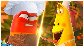 LARVA Season 123 Episode 10104  CHEF  New Cartoons 20234 Hilarious Cartoon Compilation [upl. by Opalina908]